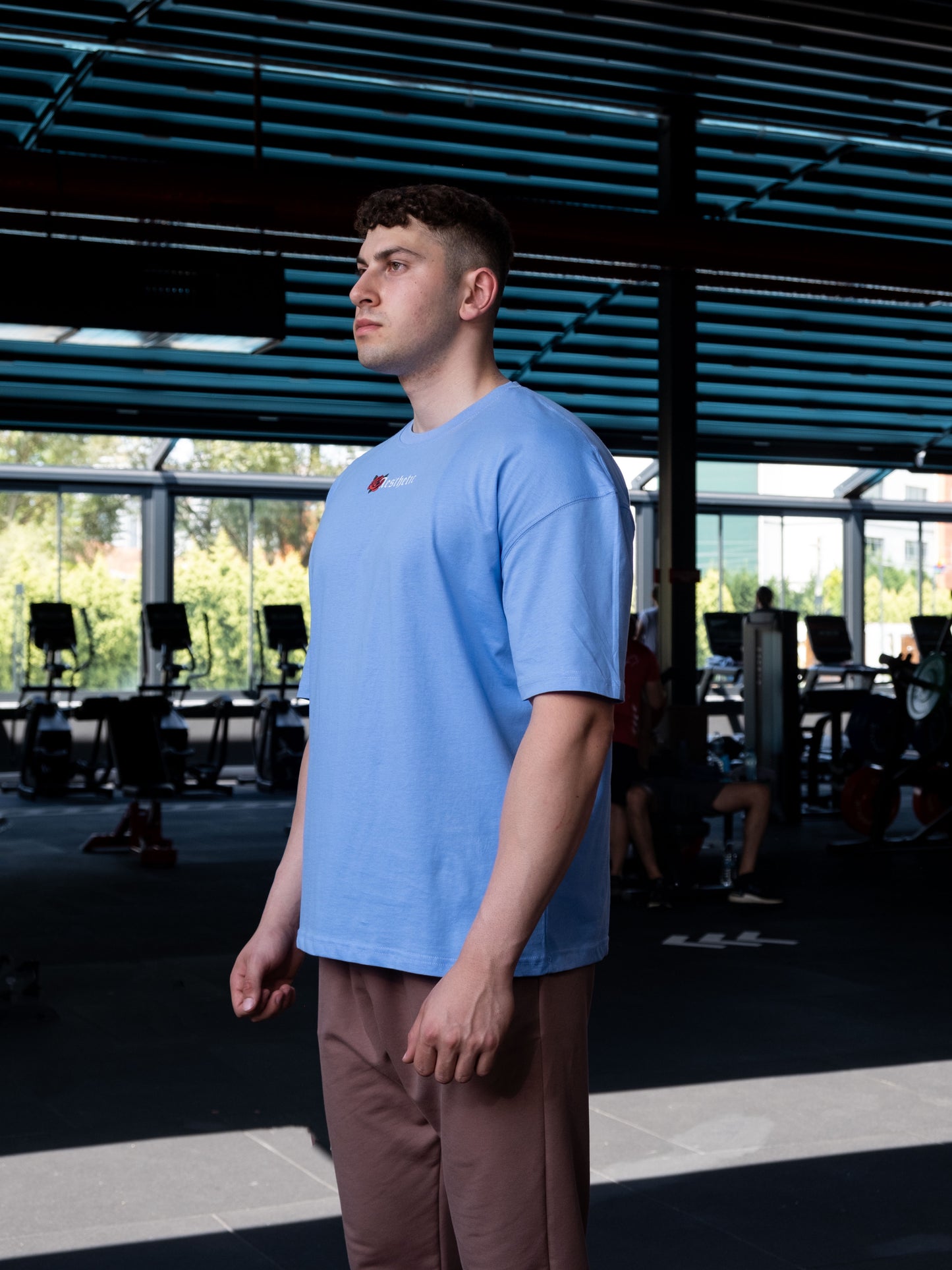 Aesthetic Legacy Oversize T-Shirt