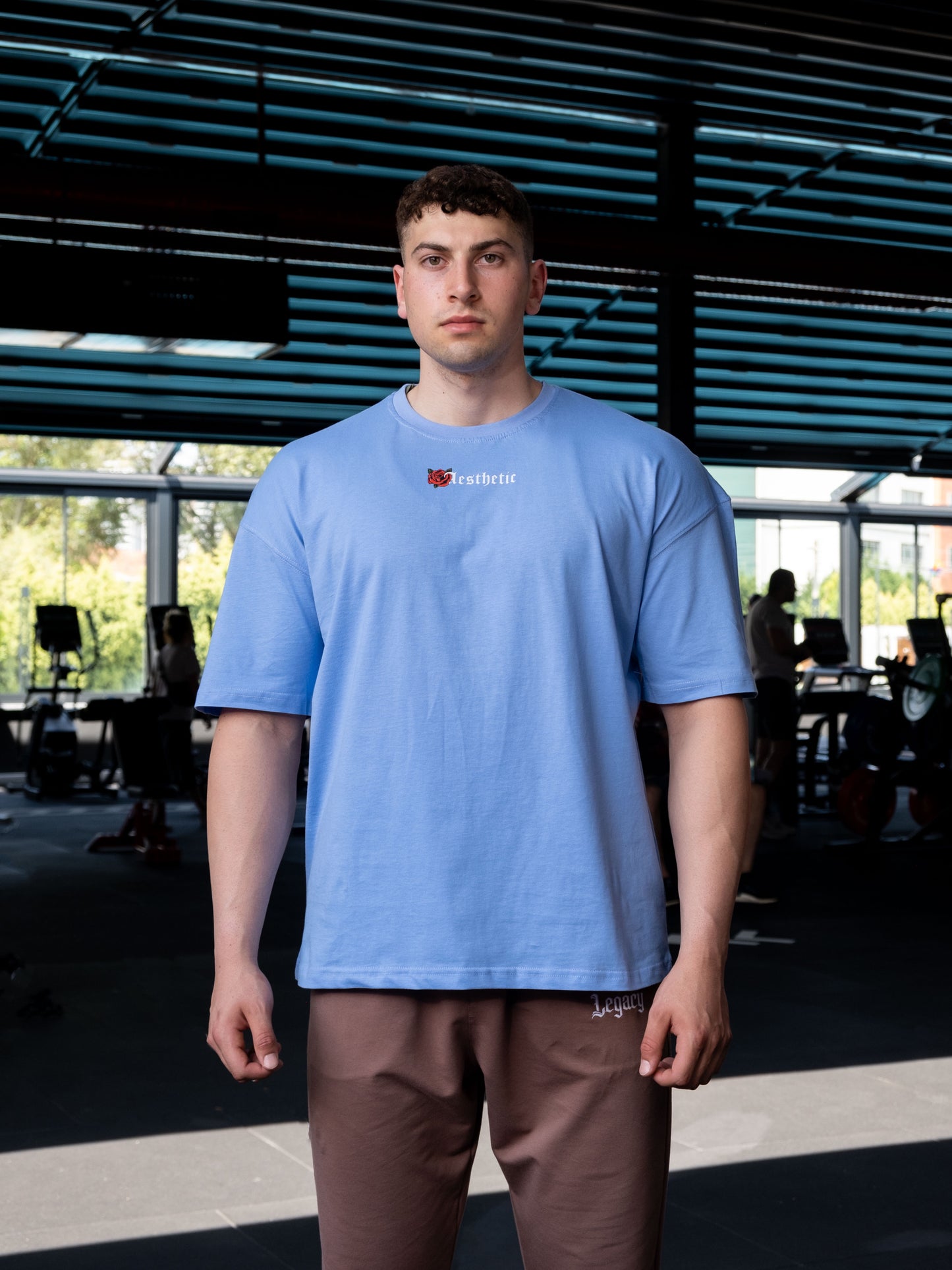 Aesthetic Legacy Oversize T-Shirt