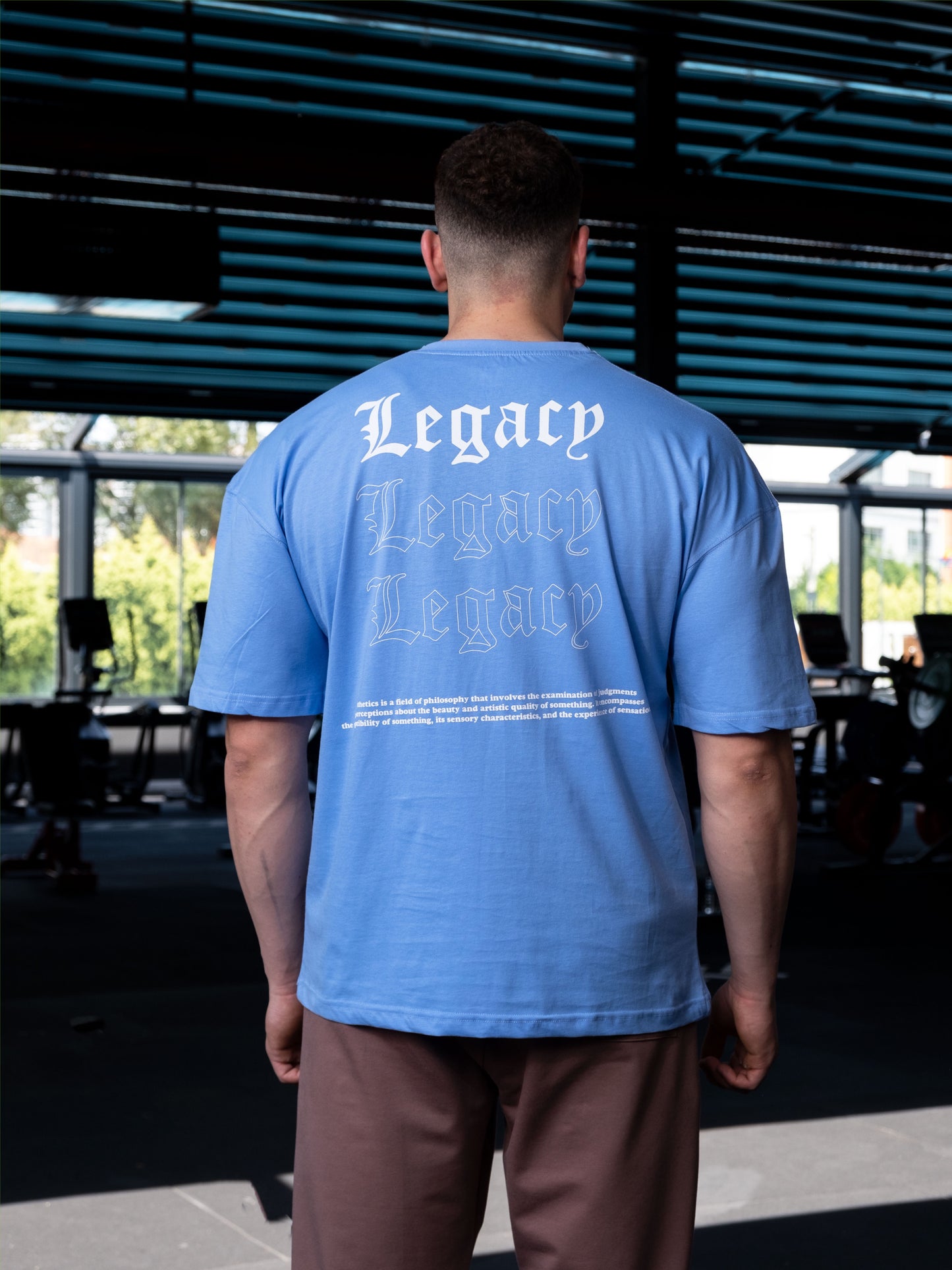 Aesthetic Legacy Oversize T-Shirt